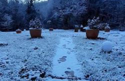 Holiday Home Forest INN - Foto 76