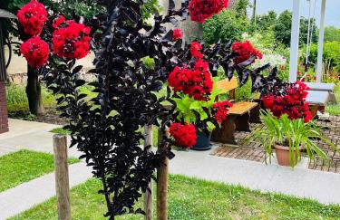 Turul -Kuća za odmor- - Foto 5