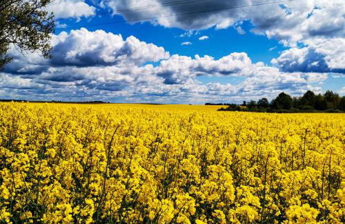 Ostoja Stacze - Foto 71