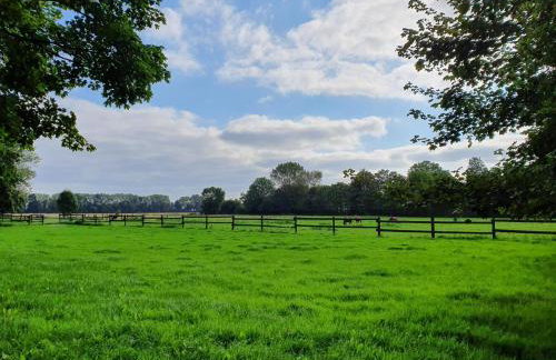 Ferienhof-Stoertebeker - Foto 10