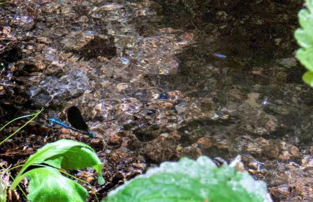 Mill House & Hot Tub extra 15 eur night booked - Foto 73