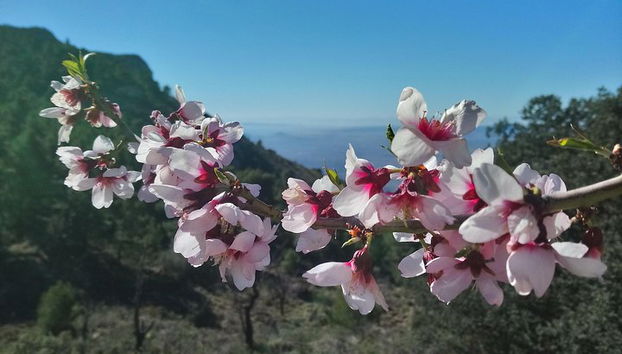 Geführter Spaziergang an der Costa Blanca - Foto 4