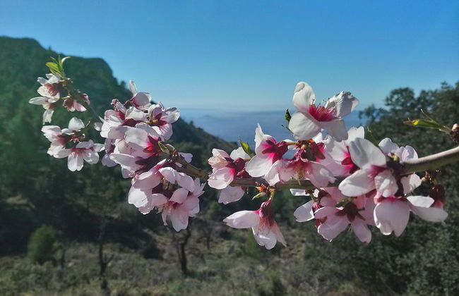 Geführter Spaziergang an der Costa Blanca - Foto 4