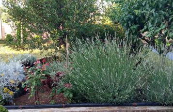 El racó del Puig - Foto 36