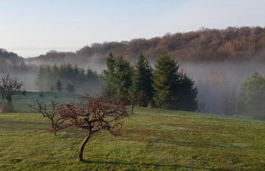 Apartament Podskalański - Foto 12