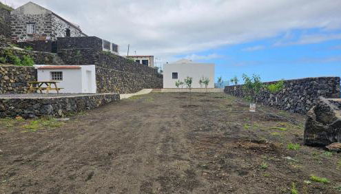 Los Almendr2s - Foto 2