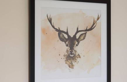 Pippin, Tranquil Scottish Cottage with Hot Tub - Foto 18