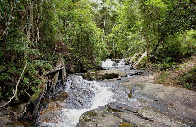 Bellthorpe Stays - Foto 60