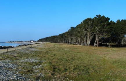 maison de plain pied a 1 km de la mer , avec piscine securisée - Foto 24