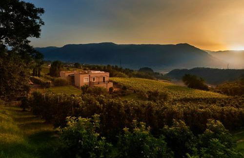 Weingut Stuck - Foto 18