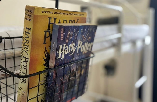 San Pablo Tropical House - Foto 8