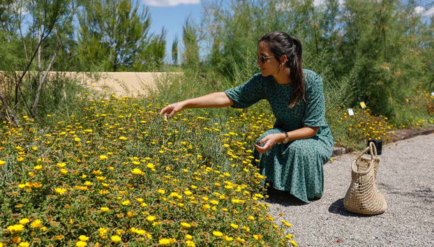 Appréciez les fleurs du jardin