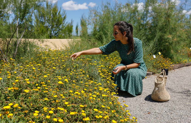 BIBO PARK - Ibiza Botánico Biotecnológico - Foto 7
