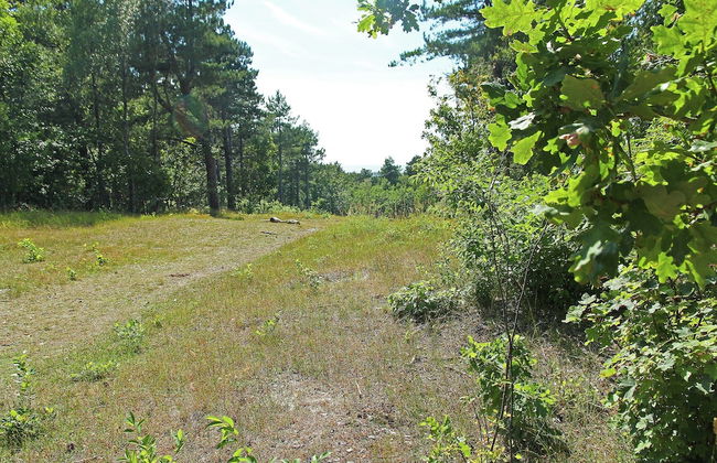 Cozy Apartment near Sea in Bergen aan Zee - Photo 17
