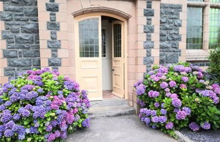 Capel Pennal - Photo 8