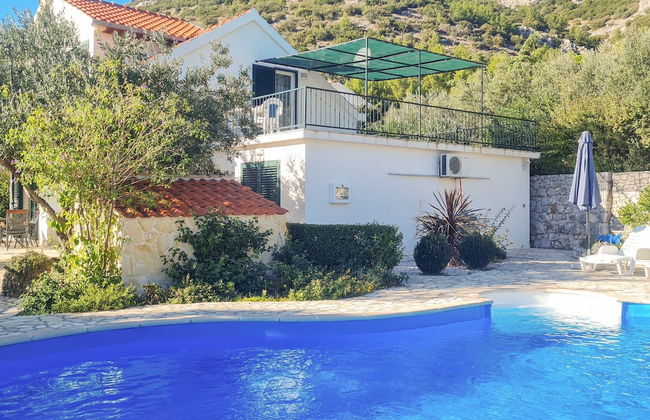 Villa Klara - Photo 42