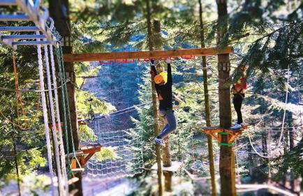 Willa Rytro dom wakacyjny w górach do wynajęcia na wyłączność dla 15 osób - Foto 5