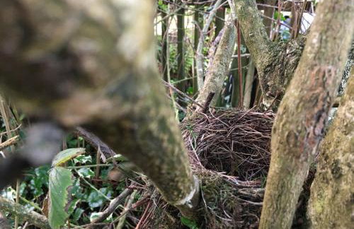 Red Watch Apartment - Foto 31