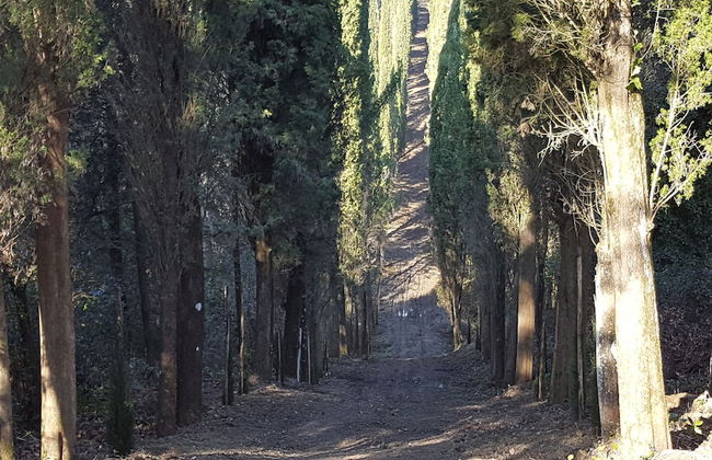 Farm House La Presura - Photo 57