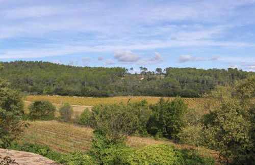 Le petit robernier - Foto 10