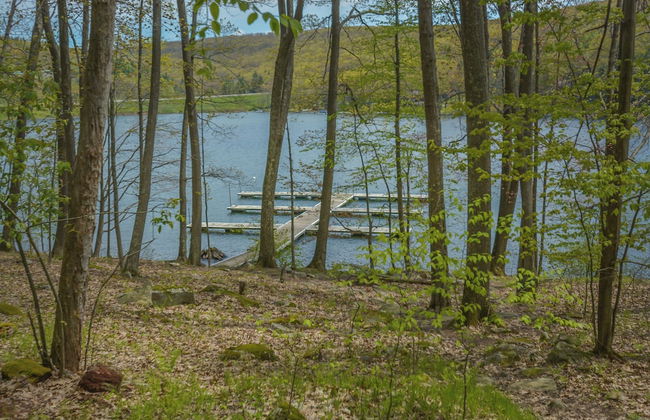 Adlerskron by Taylor Made Deep Creek - Photo 31