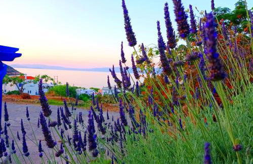 Evangelia House Sea View Apartments - Foto 51