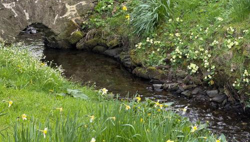 Garden Studio for Two - Foto 3