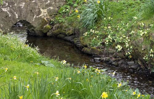 Garden Studio for Two - Foto 3