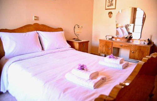 The Teacher's House - Foto 27