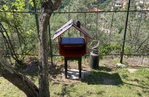 casa mare monti - Foto 18