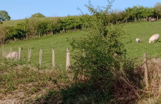 Llandovery - Cottage - Sleeps4 - Parking Secure Lock up for Bikes - Foto 18