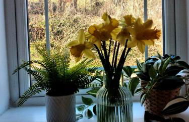 Cute Cornish Cottage - Photo 6