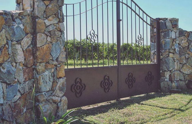 Finca Las Cavas - Photo 8