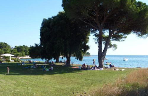 Apartments Kavan - Photo 24