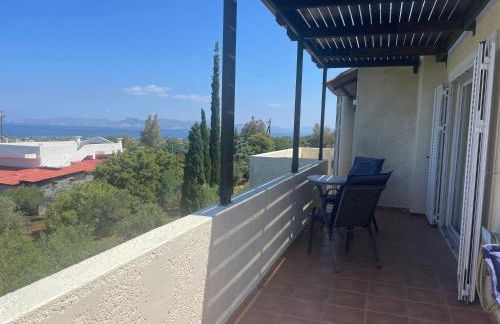 Carpe Diem - Photo 42