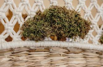 Casa Calmaria Beja - Foto 24