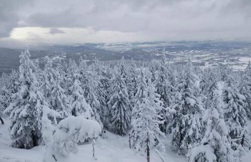 Przystanek Leszczyniec w Sudetach z jacuzzi - za dopłatą - Foto 28