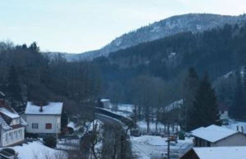 Chalet cosy en bordure de forêt avec wifi, terrasse et équipements complets à Rochesson - FR-1-589-235 - Foto 4