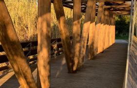 Forest Terrace Praia de Mira - Foto 80