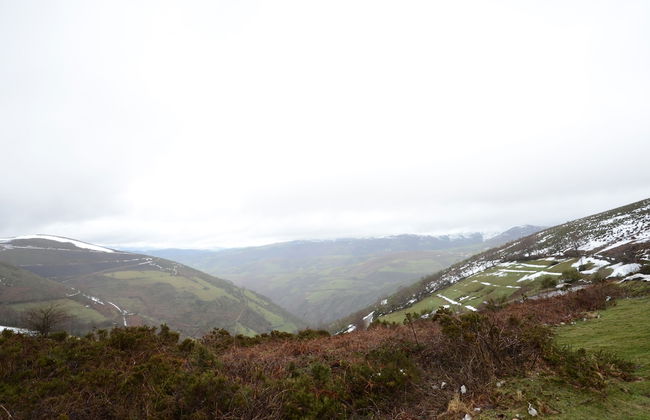 El Mirador De Limes - Photo 71