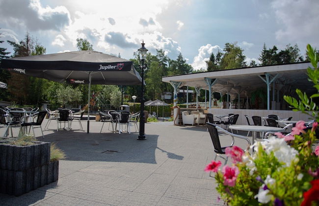 Cottage With Garden at Utrechtse Heuvelrug - Photo 15