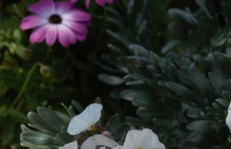 LIORIZA Country Houses - Foto 77