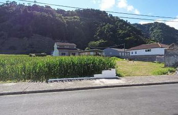 Casa do Faial da Terra - Photo 12
