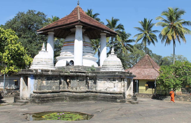 Tour privato dei templi di Kandy - Foto 3