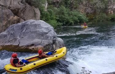 La Finca OliveTree - Foto 56