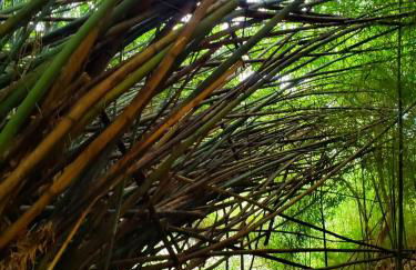 Casa Fazenda Inglesa Petrópolis RJ - Foto 38