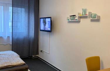 Ganze Apartment in Saarbrücken City - Foto 7