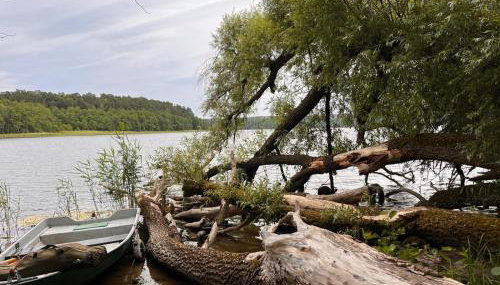 Leszczynowy domek nad jeziorem - Foto 4