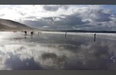 Winstitchen Cottage situated near the River Barle - Foto 57