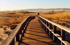 Studio Boho Chic - Photo 48